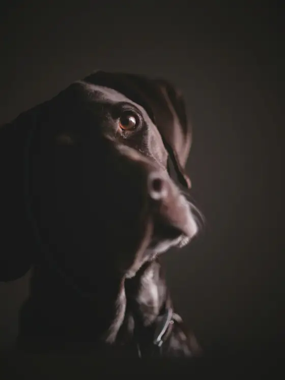 Braco em contraluz