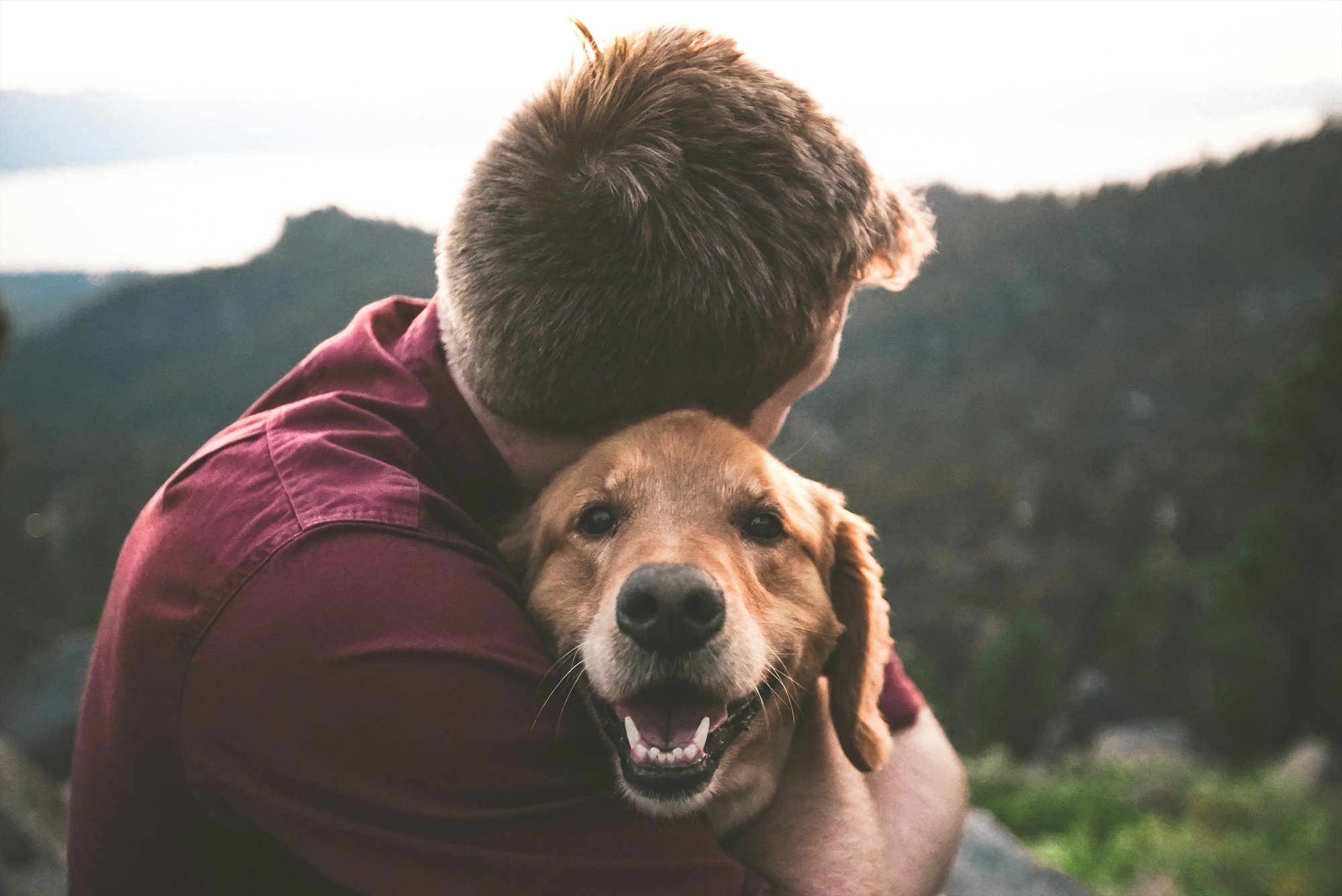 Homem abraçado a um golden retriever feliz