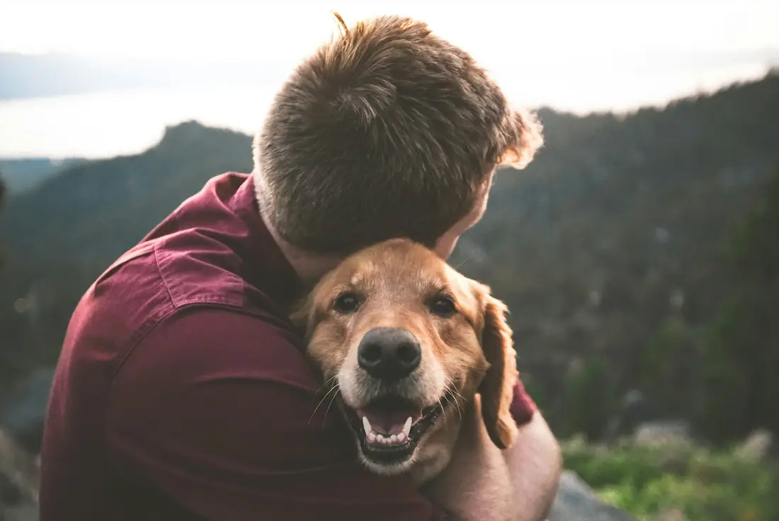 Homem abraçado a um golden retriever feliz