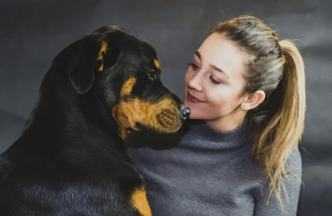 Mulher encosta o rosto ao focinho de um rottweiler