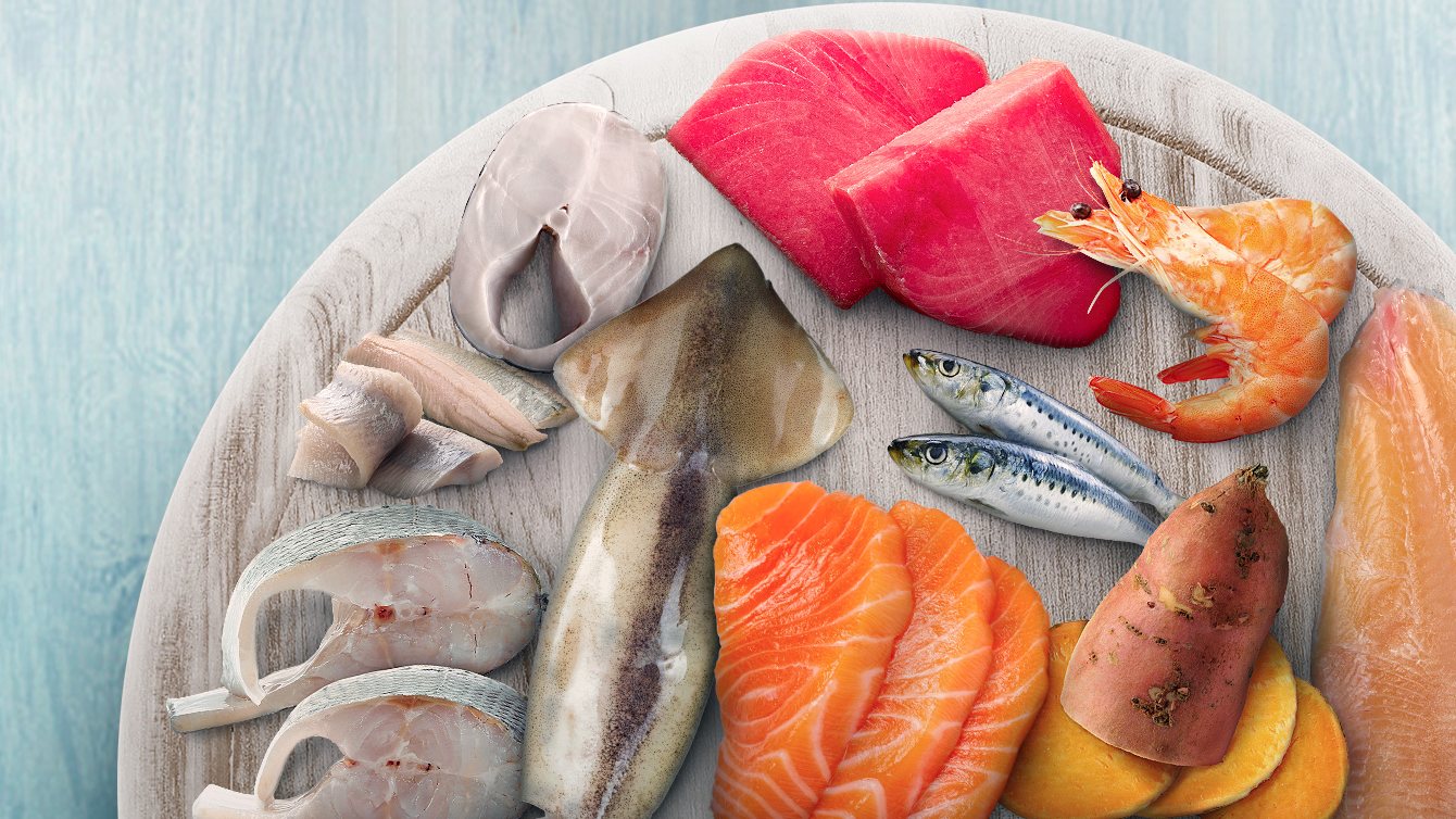 Ingredientes da linha N&D Ocean