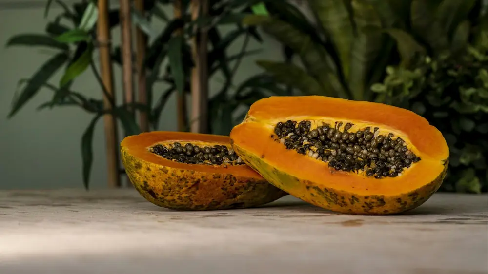 Papaias abertas, fruta tropical da linha N&D Tropical Selection